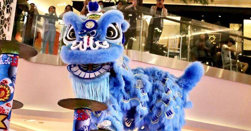 Dok. Internal Central Park